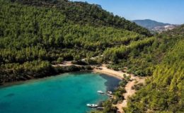 2023’te tanıdık şirketlere 1 trilyon 498 milyar TL’lik 209 bin ihale verildi: İktidar yandaşa çalıştı