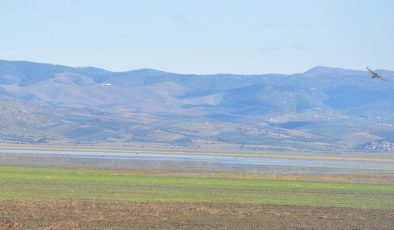Son yağışlar kuruyan Marmara Gölü’ne umut oldu