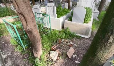 Üç kardeşin ihbarıyla ortaya çıkmıştı: Baba için istenen ceza belli oldu!