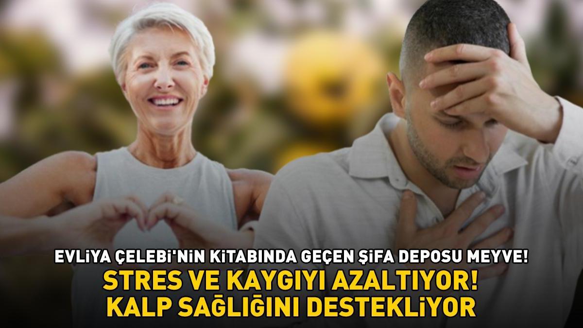 Evliya Çelebi’nin kitabında geçen şifa deposu meyve! Stres ve kaygıyı azaltıyor, kan şekerini dengeleyip kalp sağlığını destekliyor