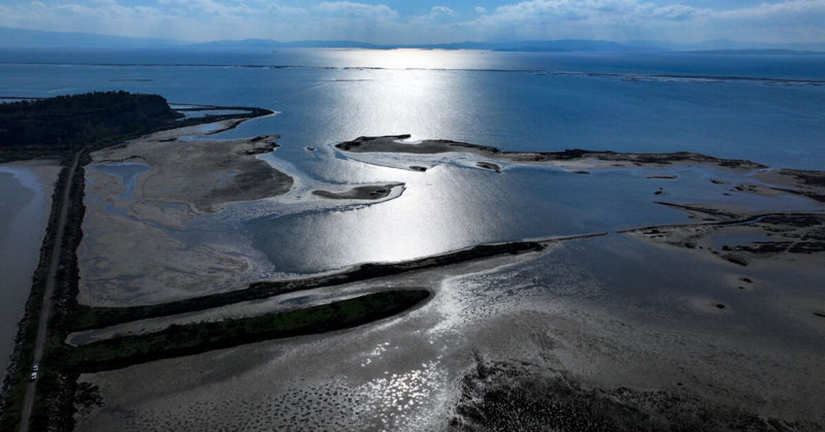Gediz Deltası kuraklık ve kirlilik tehdidi altında!