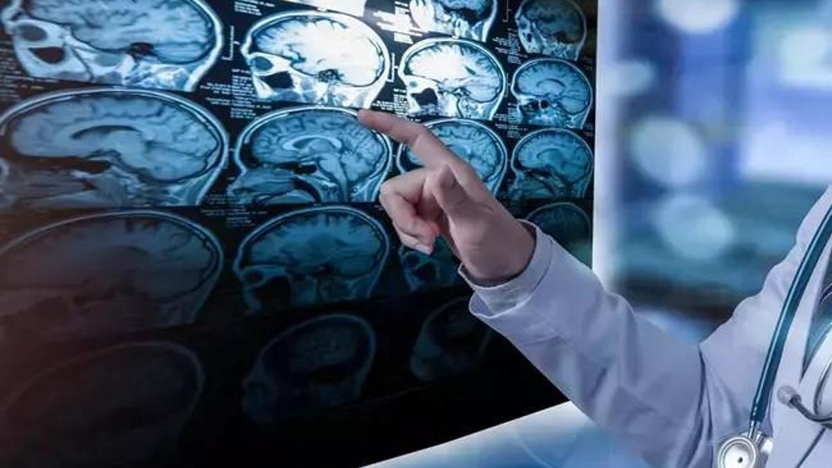 Bacopa bitkisinin etkileri şaşırttı! STRES VE KAYGIDA DA AZALMA GÖRÜLDÜ