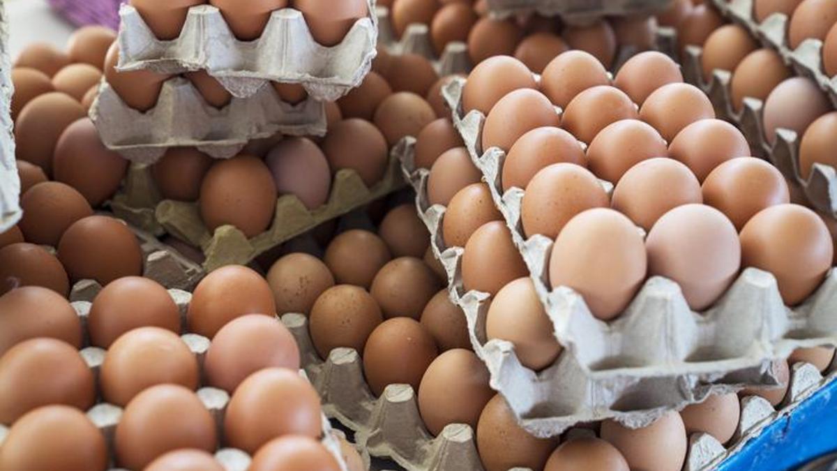 Salgın fiyatları uçurdu, hırsızların hedefi oldu: 100 bin yumurta çaldılar!