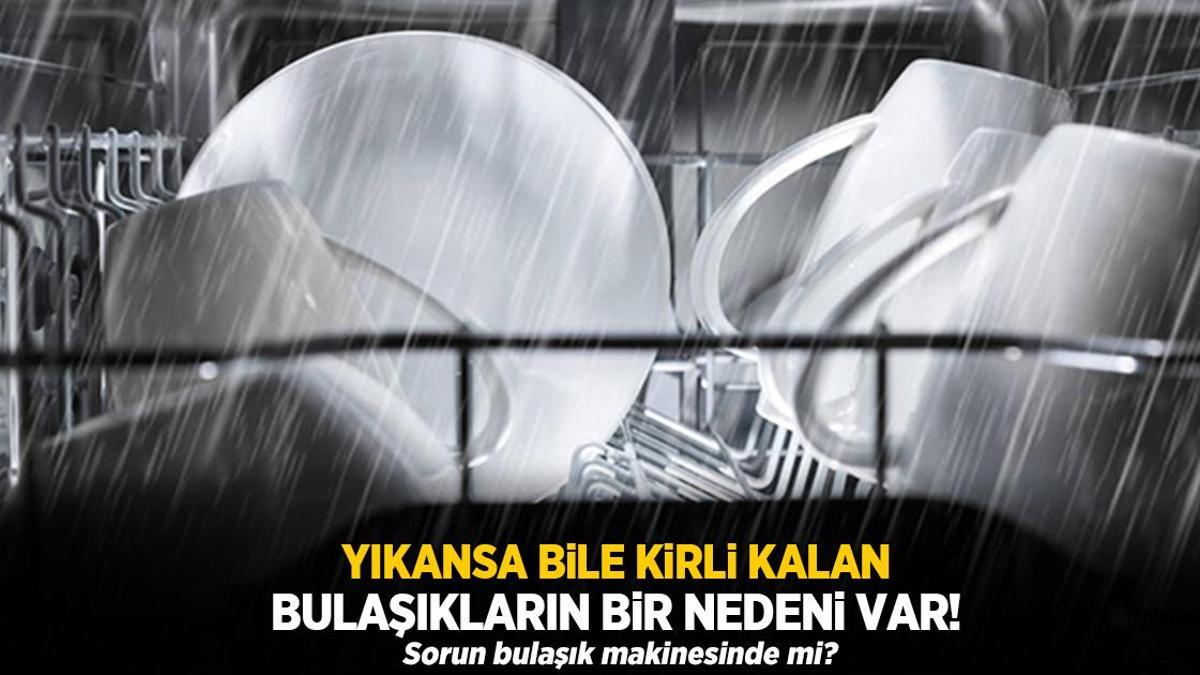 Makineden çıkan bulaşıklar neden kirli? Cevabı çok basit, tek fırça yetiyor
