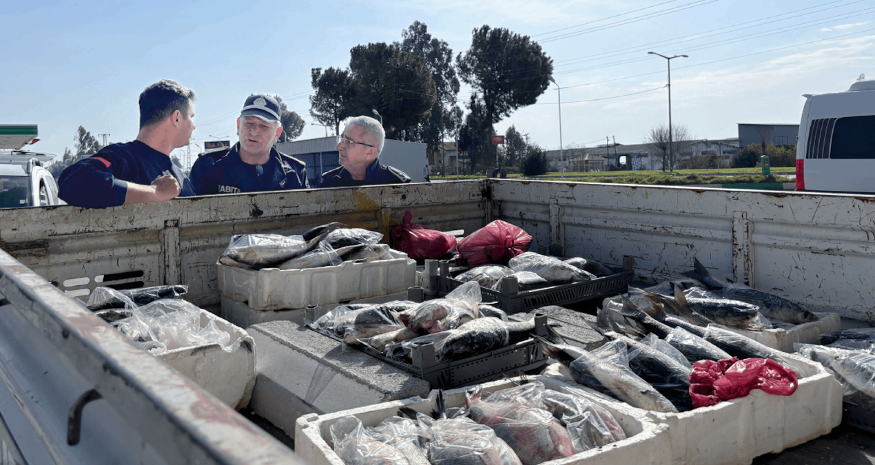 Tarsus zabıtası 750 kilo bayat balık elegeçirdi